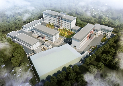 A bird's eye view of the new Chinese hospital 3d model