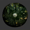 Fresh Green Pumpkin With Yellow Spots And Golden Stem On Dark Background