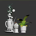 Various Potted Plants With Green Leaves Fruit Banana Leaves And Cactus In White Pots