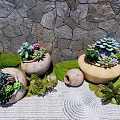 Succulent Plant Combinations In Terracotta Planters With Stone Wall Background And Green Foliage