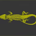 Vibrant Green Lizard Skeleton Art Model With Realistic Bone Structure And Polished Texture 3d model