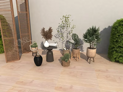 Bonsai and Potted Plants in Outdoor Patio with Wooden Flooring Various Planters and Green Plants 3d model