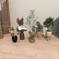 Bonsai and Potted Plants in Outdoor Patio with Wooden Flooring Various Planters and Green Plants