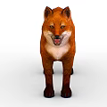 Red Fox With Orange Fur Standing And Open Mouth Isolated On White Background