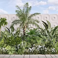 Lush Tropical Plant Combination with Palm Tree Green Foliage White Flowers and Textured Wall