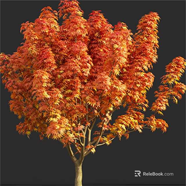 Arbor With Vibrant Red And Orange Autumn Leaves And Lush Foliage 3d model 