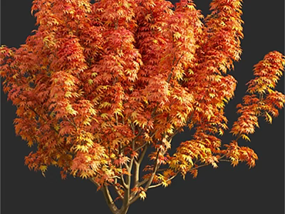 Arbor With Vibrant Red And Orange Autumn Leaves And Lush Foliage 3d model