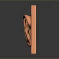 3D Sculpted Ear Shape Featured on Orange Square Minimalist Decorative Art Piece