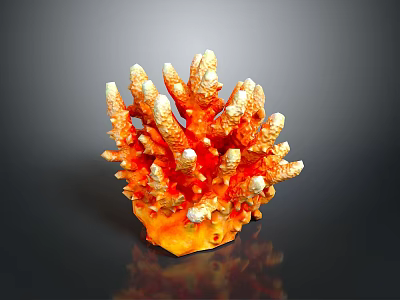Vibrant Orange Yellow Branched Coral Structure Hosting Thriving Marine Polyps 3d model