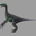 Realistic 3D Dinosaur Model With Long Neck Slender Body And Large Claws