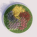 Circular Flower Pot with Various Colored Flowers and Green Grass Decorative Design