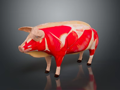 Pig Anatomical Model Showing Detailed Muscle Structure For Educational Use 3d model