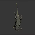 Green Scaly Lizard With Rough Textured Skin Resting On Dark Gray Surface