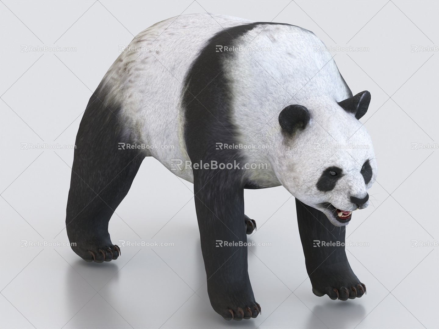 panda animal 3d model