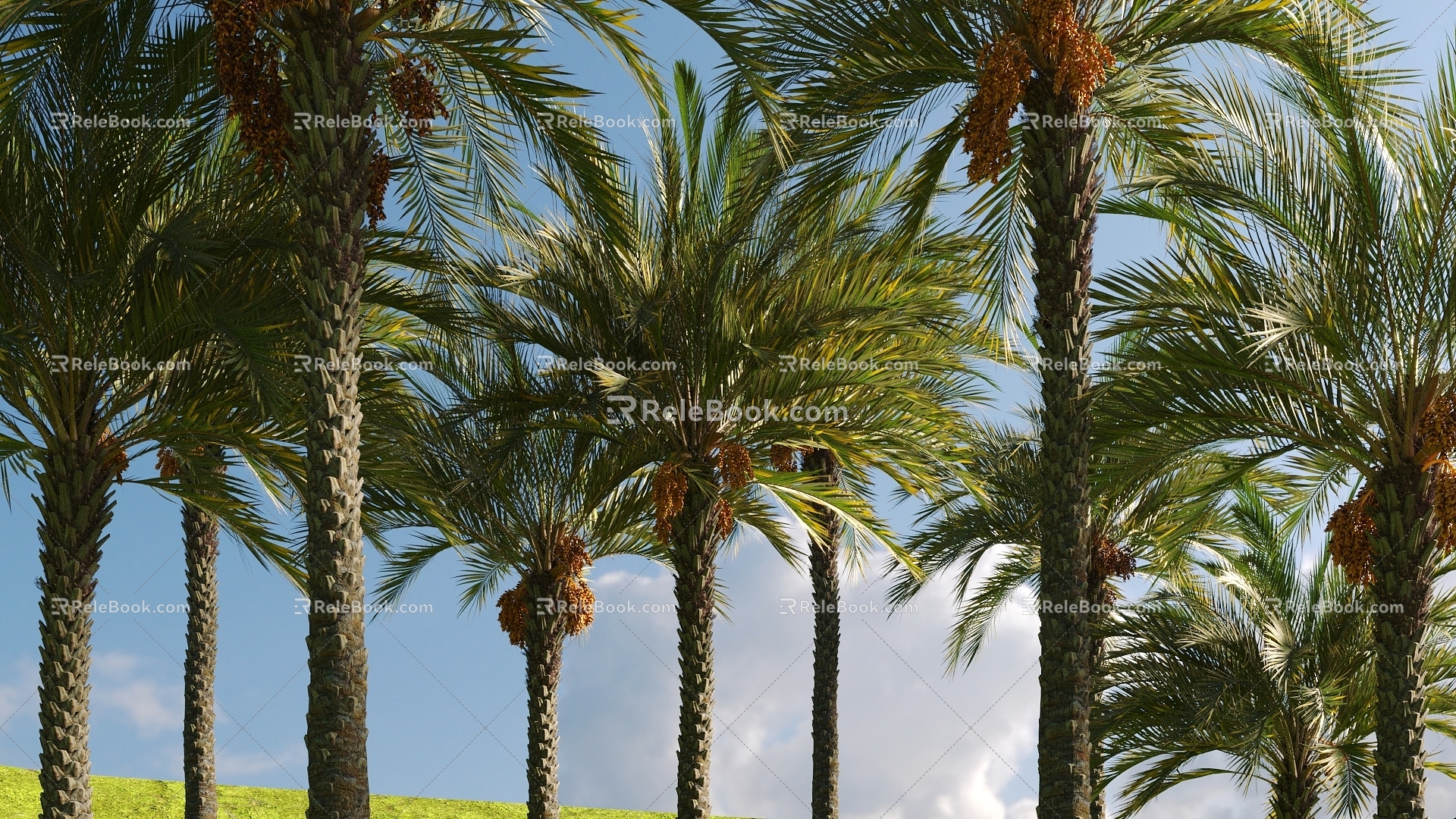 Modern Palm Tree 3d model