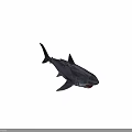 Low Poly Shark 3D Model Featuring Geometric Design And Open Mouth