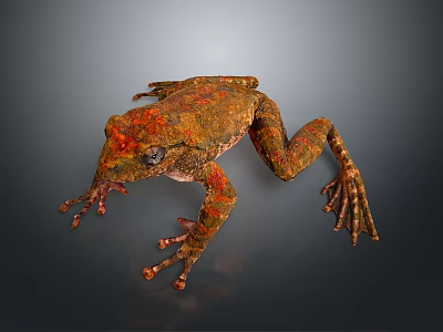 Reptile With Orange And Brown Textured Skin Crawling On Dark Background 3d model