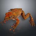 Reptile With Orange And Brown Textured Skin Crawling On Dark Background