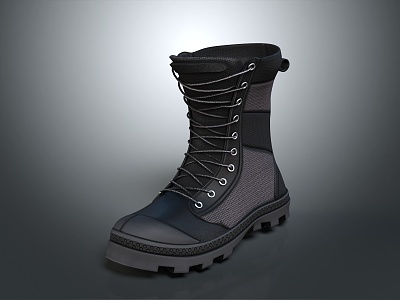 Modern Women Boots Martin Boots Snow Boots Tassel Boots 3d model