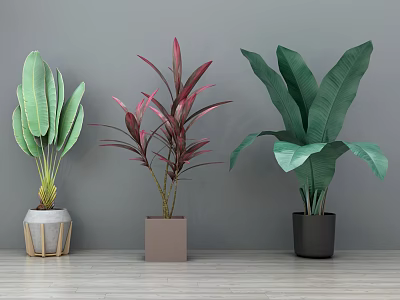 Bonsai Potted Plants For Indoor Decor With Green Red Leaves And Various Planters 3d model