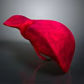 Red 3D Liver Anatomical Model Displaying Detailed Abdominal Organ Structure 3d model