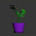 Green Potted Plant With Vibrant Leaves In Purple Flower Pot On Gray Background