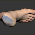 Advanced Medical Device Ankle Prosthetic Model with Lifelike Appearance and Functional Design 3d model
