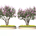 Bonsai Trees With Purple Flowers Thick Trunks And Yellow Floral Decoration Near Human Silhouette