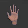 Orange 3D Human Hand Organ Model With Extended Fingers And Palm Up