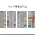 Detailed Posture Assessment Chart Wall Stickers With Human Body Analysis Forms