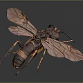 Modern Moth Animal Anime Character 3d model