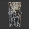 Natural Wooden Tree Stumps With Rough Bark Texture As Decorative Pieces