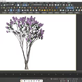 Beautiful Blooming Arbor With Purple Flowers Green Leaves And Slender Trunks
