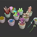 Various Succulent Plant Species Arranged in White Pots on Black Background