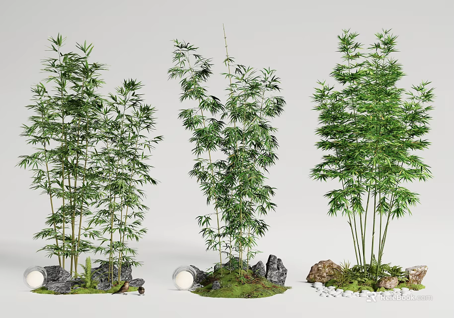 Lush Bamboo Plants with Clumping Growth Green Leaves and Decorative Rocks Mossy Base 3d model 