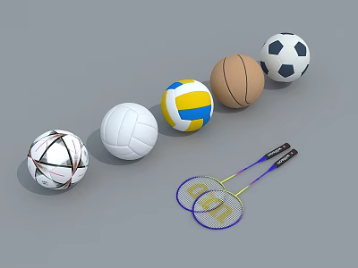 Various Sports Equipment Including Soccer Basketball Volleyball Balls and Badminton Rackets on Gray Surface 3d model
