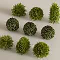 Various Green Bushes With Round And Conical Shapes In Different Sizes 3d model
