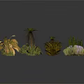 Various Green And Colorful Garden Plants With Diverse Leaf Shapes And Flowers