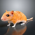 Realistic Orange Gerbil With White Paws And Black Eyes On Shiny Surface