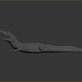 Crocodile Alligator Nile Crocodile carnivore reptile cold-blooded animal reptile reptile 3d model