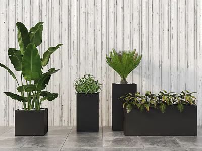 Various Potted Plants in Black Planters Against White Vertical Stripe Wall and Gray Tiled Floor 3d model