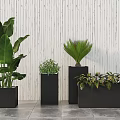 Various Potted Plants in Black Planters Against White Vertical Stripe Wall and Gray Tiled Floor