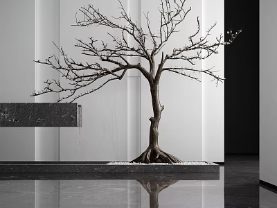 Bare Branched Tree With Exposed Roots Displayed In Modern Interior Space With Pebbles On Floor 3d model