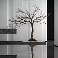 Bare Branched Tree With Exposed Roots Displayed In Modern Interior Space With Pebbles On Floor