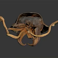 Squid With Curved Tentacles And Dark Brown Body On Black Background