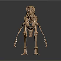 Modern skeleton dinosaur skeleton dinosaur fossil 3d model