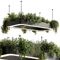 Hanging Basket Plants With Lush Green Foliage And Modern Hanging Design