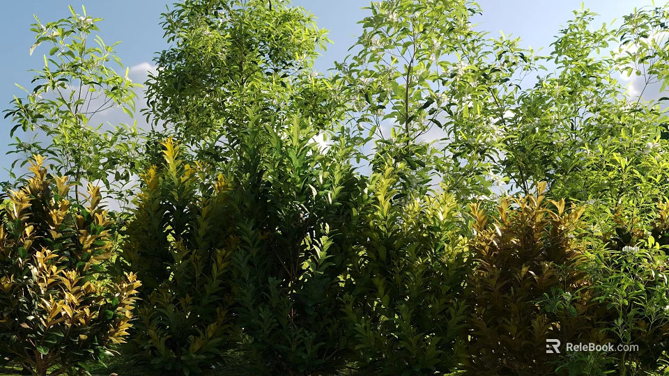 Lush Green And Yellow Shrubs With Dense Foliage Under Bright Blue Sky 3d model 