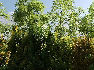 Lush Green And Yellow Shrubs With Dense Foliage Under Bright Blue Sky 3d model