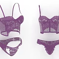 Elegant Purple Intricate Lace Women's Bralette and Panties Lingerie Set